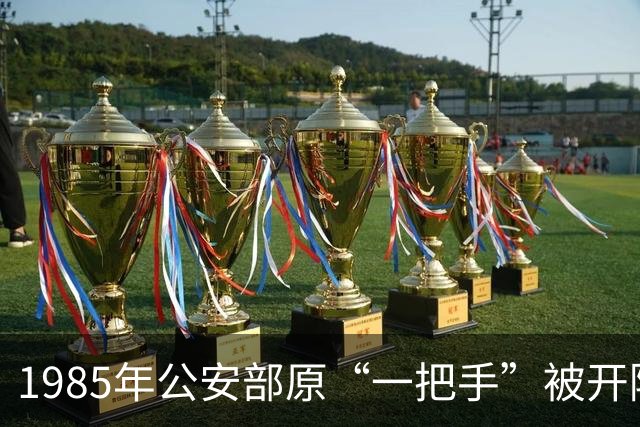 1985年公安部原“一把手”被开除党籍，开国少将鸣不平：这是报复